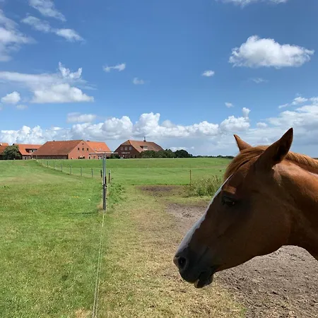 Daire Haus Dulshorn Langeoog